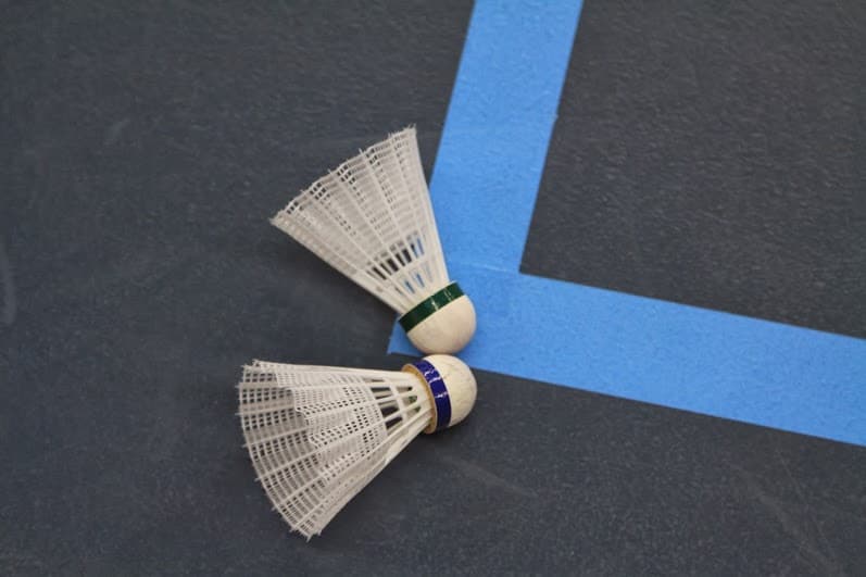 BC Flevoland (Badminton vereniging)
