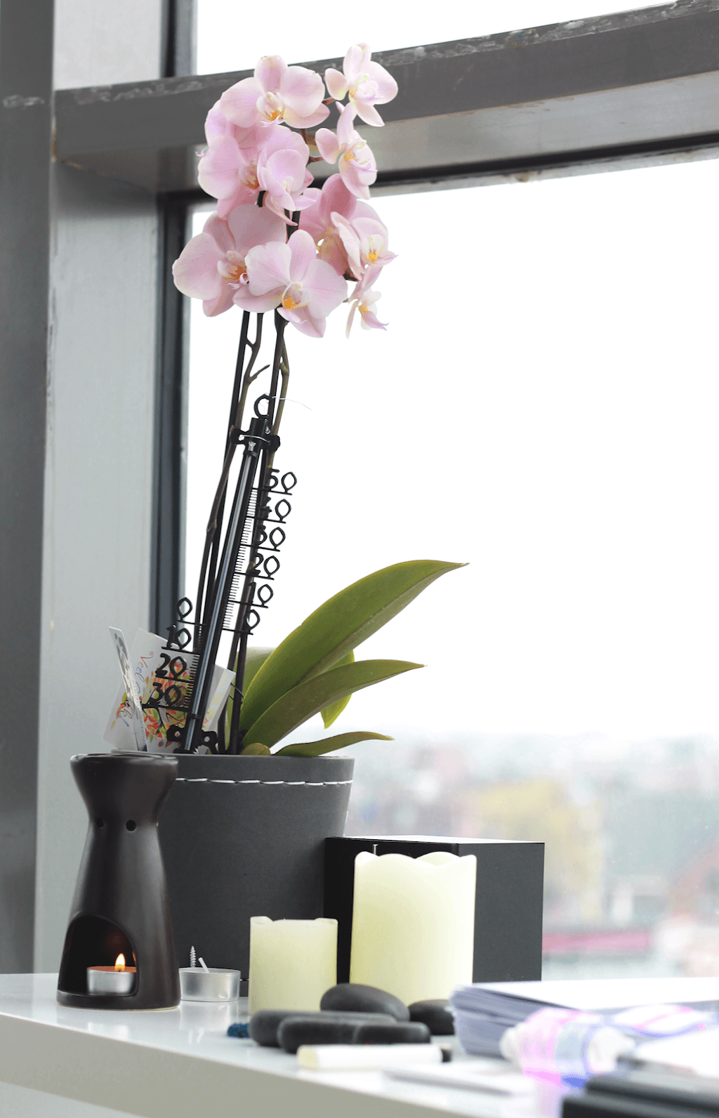 De Wellness Toren Assen
