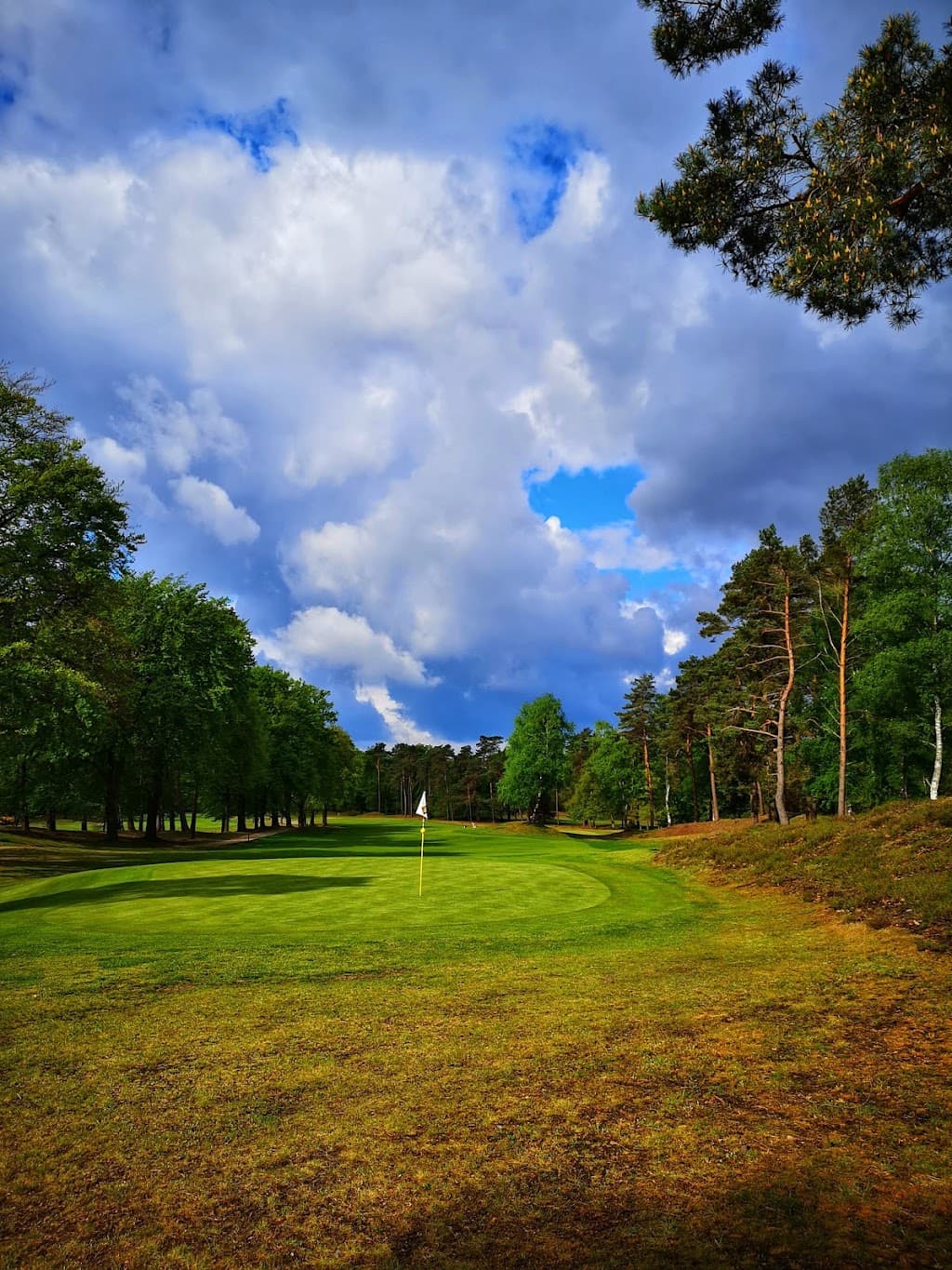 Rosendaelsche Golfclub⛳