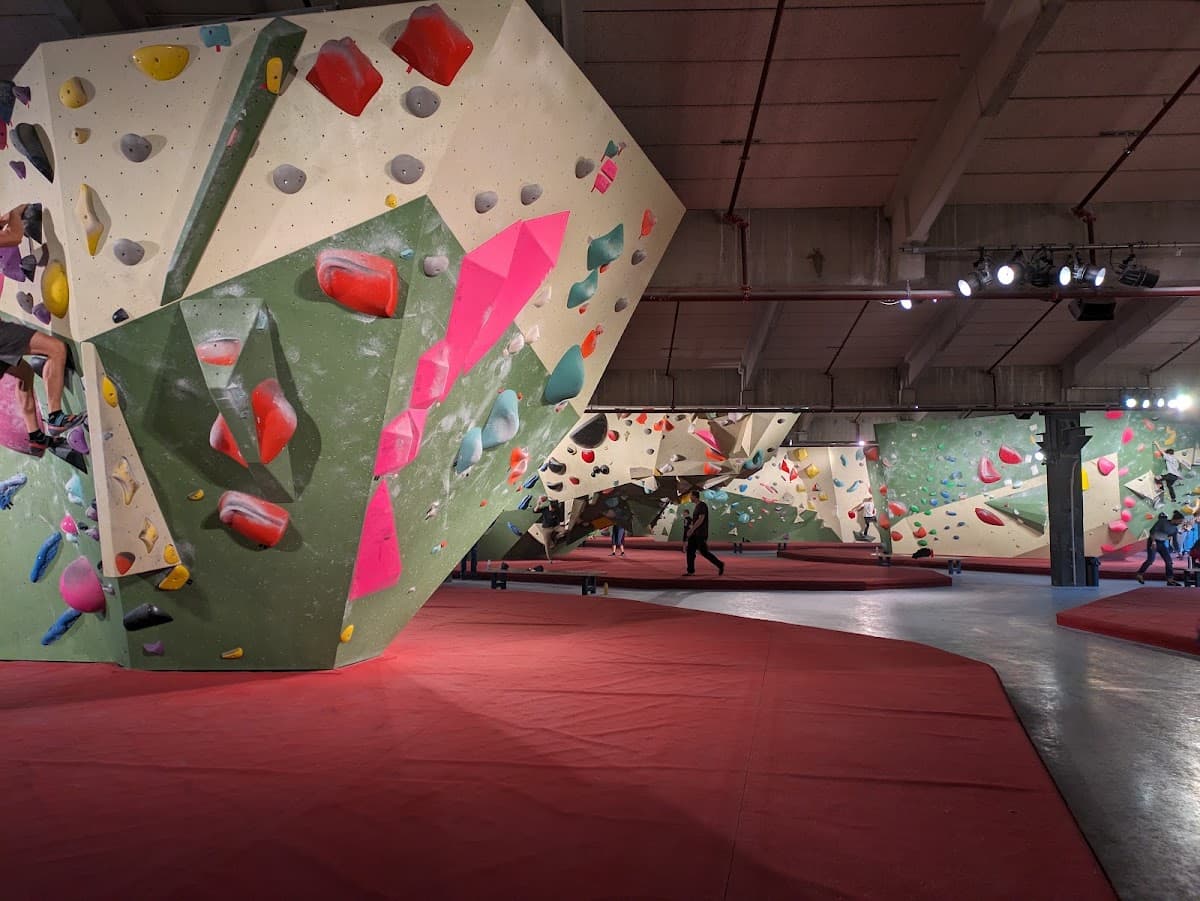 Beest Boulders Amsterdam