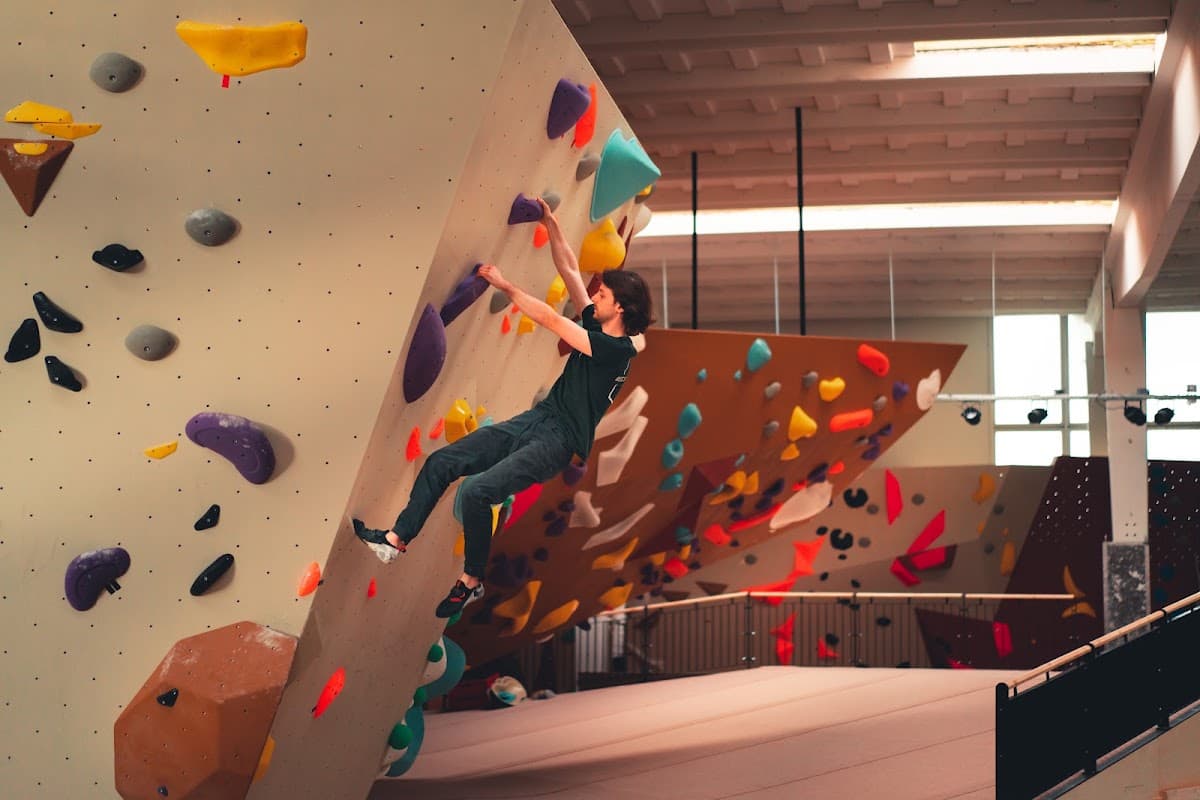 Beest Boulders Breda