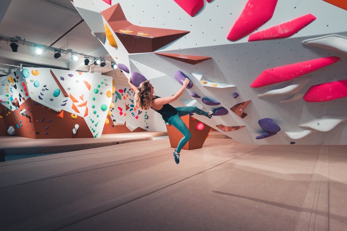 Beest Boulders Den Haag Centrum