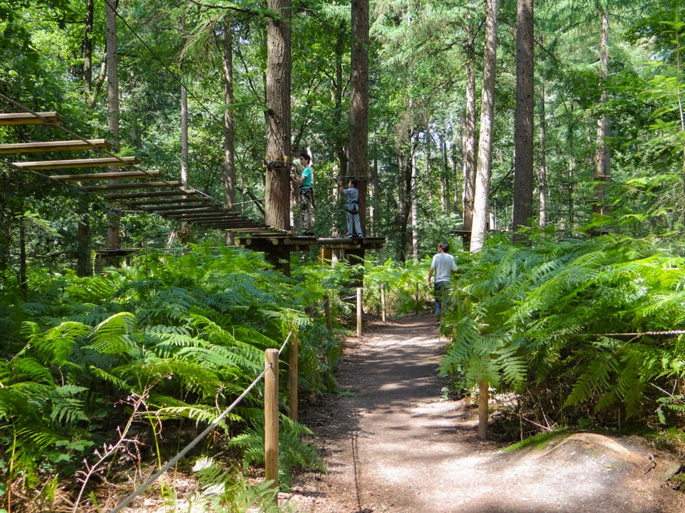Klimbos Lage Vuursche